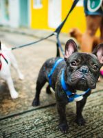 rawpixel-743116-unsplash.jpg rawpixel-743116-unsplash.jpg